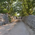 Il Nido Delle Rondini *