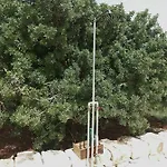 Il Nido Delle Rondini