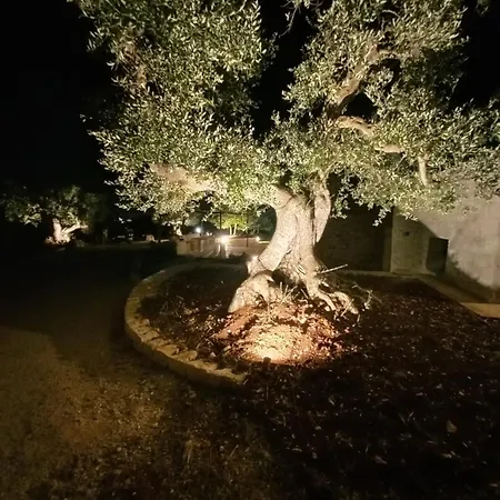 Prázdninový dům Il Nido Delle Rondini