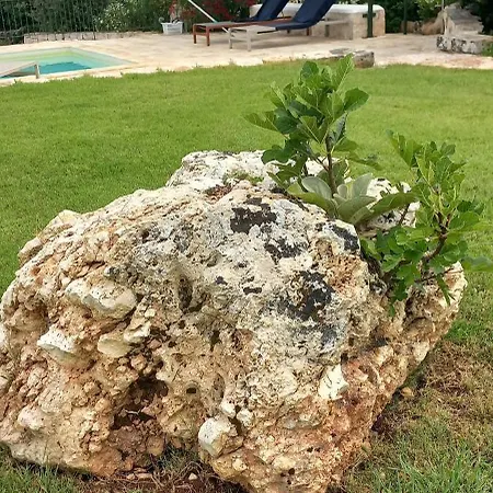 Il Nido Delle Rondini Сasa de vacaciones *