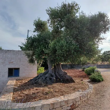 Vakantiehuis Il Nido Delle Rondini