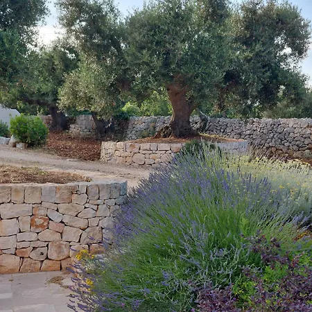 Il Nido Delle Rondini Vakantiehuis