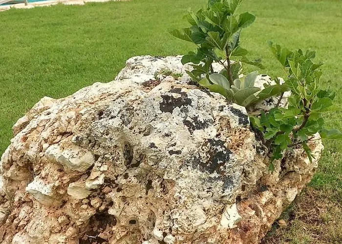 Il Nido Delle Rondini Сasa de vacaciones *