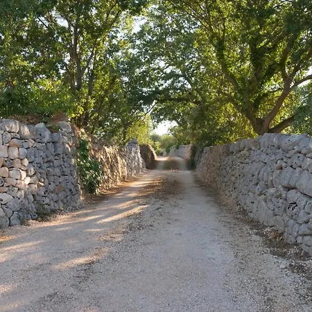 Il Nido Delle Rondini *