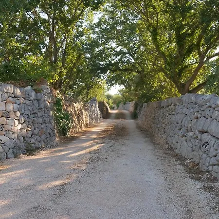 Il Nido Delle Rondini *