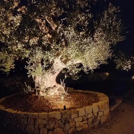 Il Nido Delle Rondini Holiday home