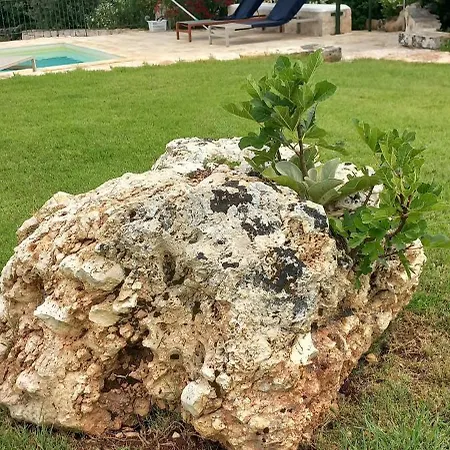 Il Nido Delle Rondini Holiday home *