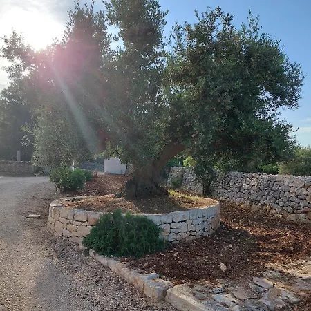 Il Nido Delle Rondini * Cisternino