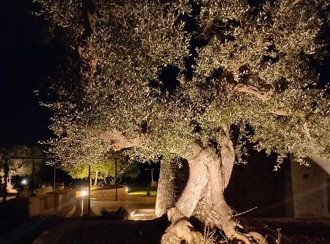 Il Nido Delle Rondini Cisternino