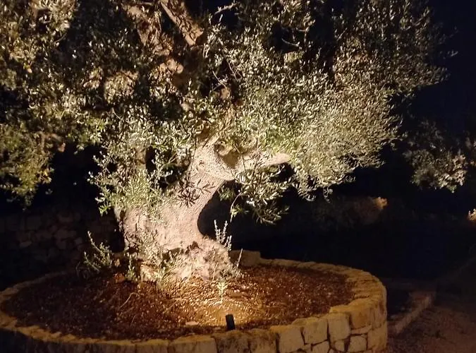 Il Nido Delle Rondini Casa vacanze